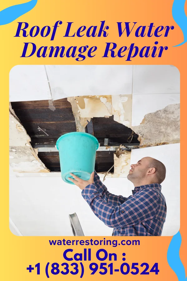 Roof Leak Water Damage Repair in Aviston, IL
